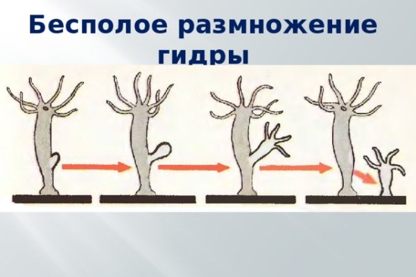 Кракен даркнет рабочая ссылка