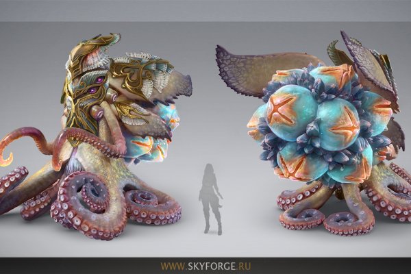 Kraken 14 at