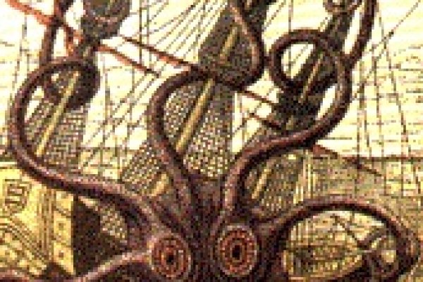 Kraken place