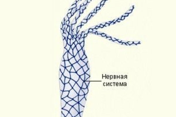 Новый адрес кракен