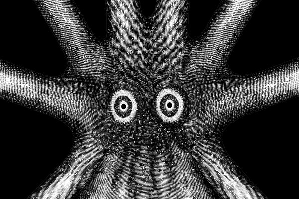 Kraken20at