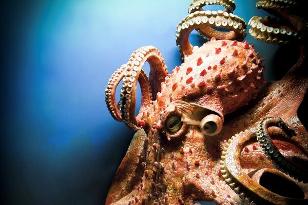 Kraken 2krn cc