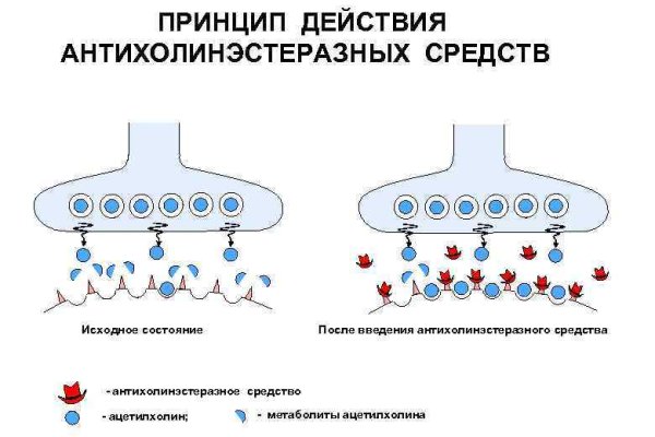 Кракен оригинальная ссылка для тор
