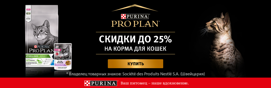 Kra41.cc Вход на сайт главная страница